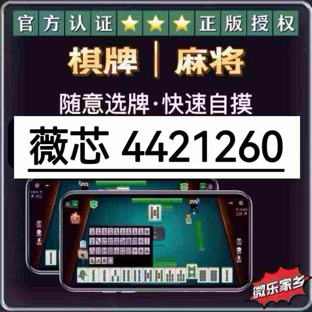 玩家必备教程星星石家庄麻将开挂器-哔哩哔哩 