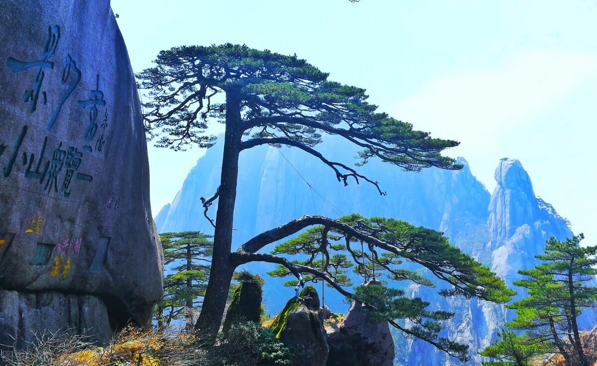 科普一下“新道游究竟有挂吗”(的确有挂)