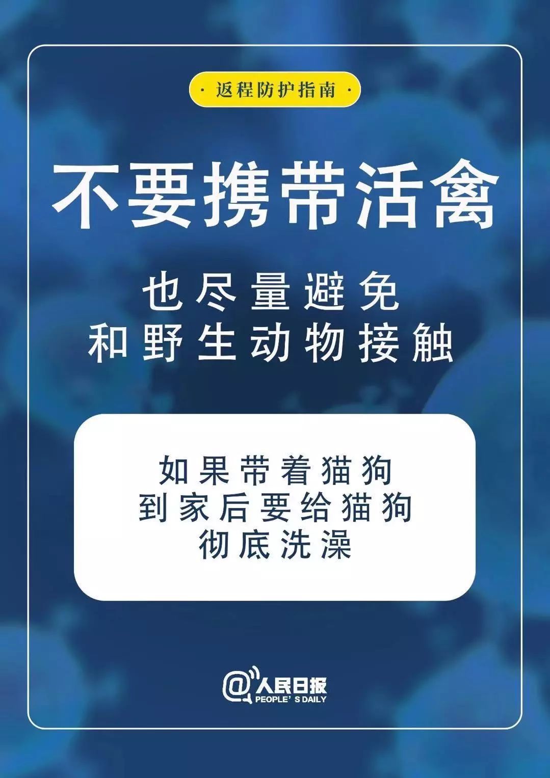 必看盘点揭秘!华山大厅三公有没有挂”详细教程辅助工具