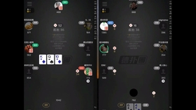 必看盘点揭秘!hhpoker辅助器—真实可以装挂