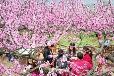 四川麻将可以买挂吗（四川麻将有没有挂哪里有卖挂）