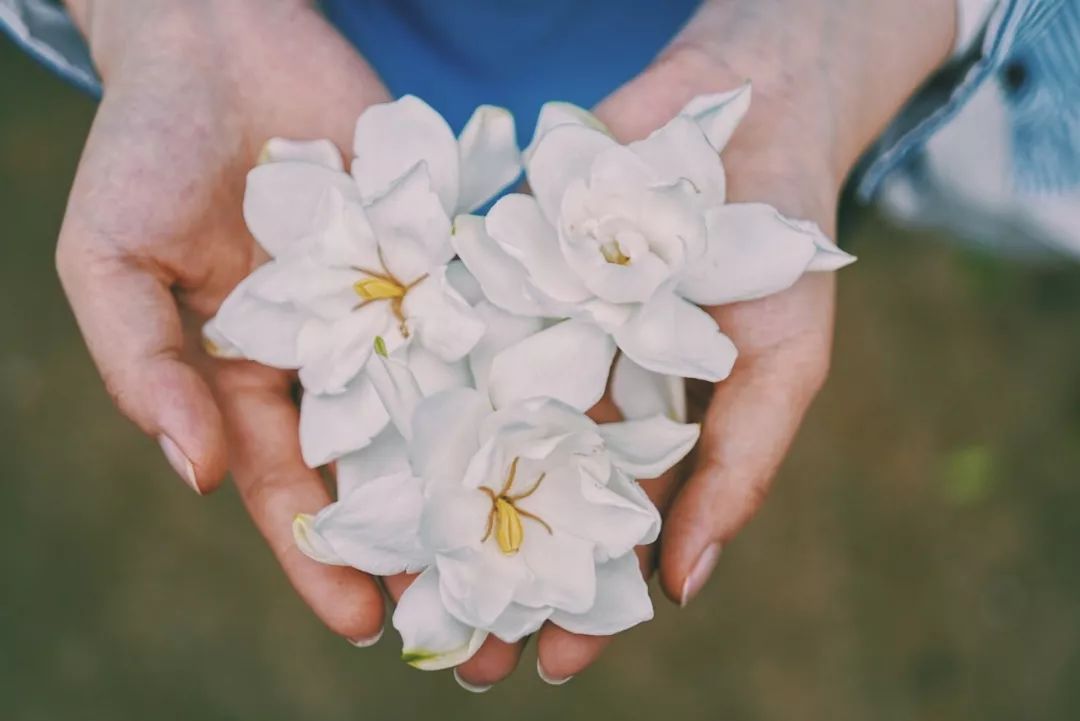 吃栀子金花丸能挂水（吃栀子金花丸能挂水吗）