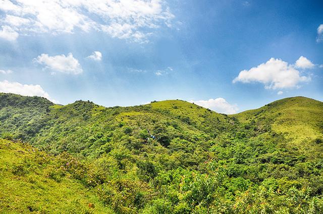 5分钟教会你“新悠悠牛牛有挂吗”详细教程辅助工具