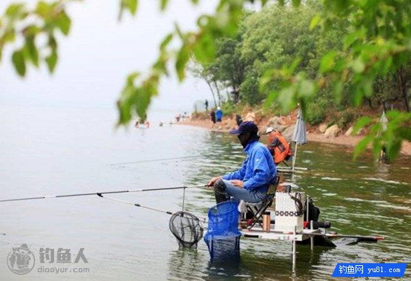 抛竿浅水鱼钩怎么挂饵（淡水抛竿）