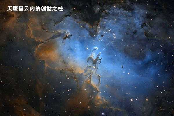 星云娱乐插件挂（星云娱乐改成什么了）