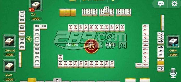 贵州闲来麻将挂软件（贵州闲来麻将4下载）