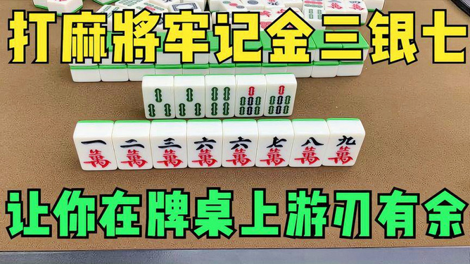 游九天麻将开挂（天九麻将教学）